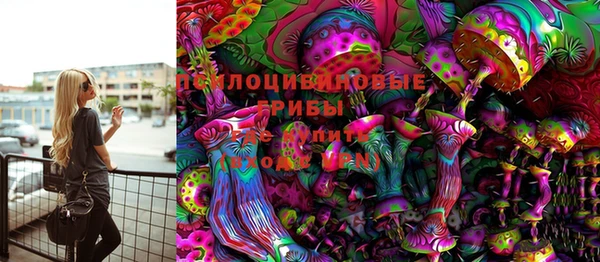 ПСИЛОЦИБИНОВЫЕ ГРИБЫ Козельск