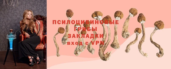 винт Кодинск