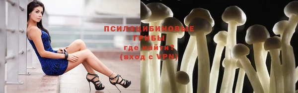 бутират Козловка