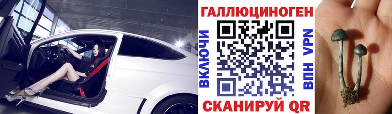 Купить  Карабулак  Псилоцибиновые грибы Psilocybine cubensis 